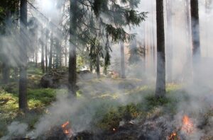 по време на бременност Може ли да свършва в мен